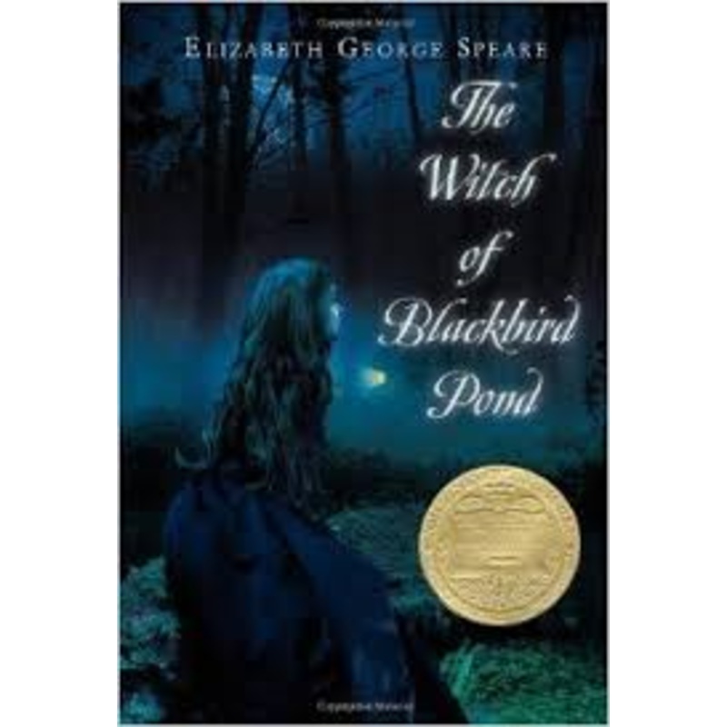 The Witch of Blackbird Pond