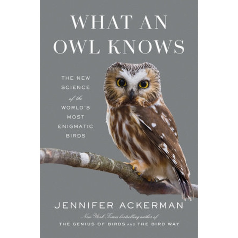 What an Owl Knows Hardcover