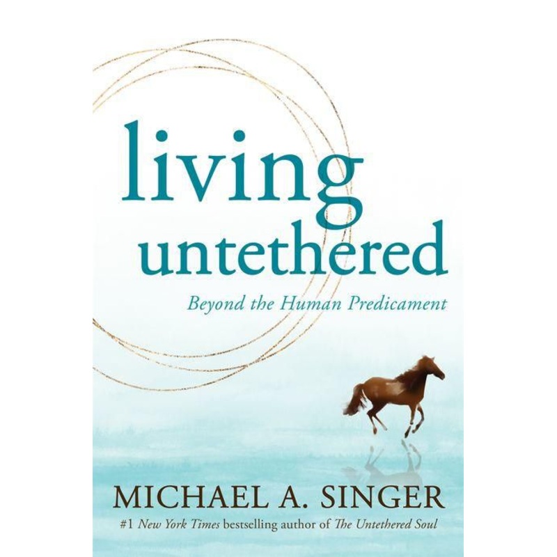 Living Untethered : Beyond the Human Predicament Paperback